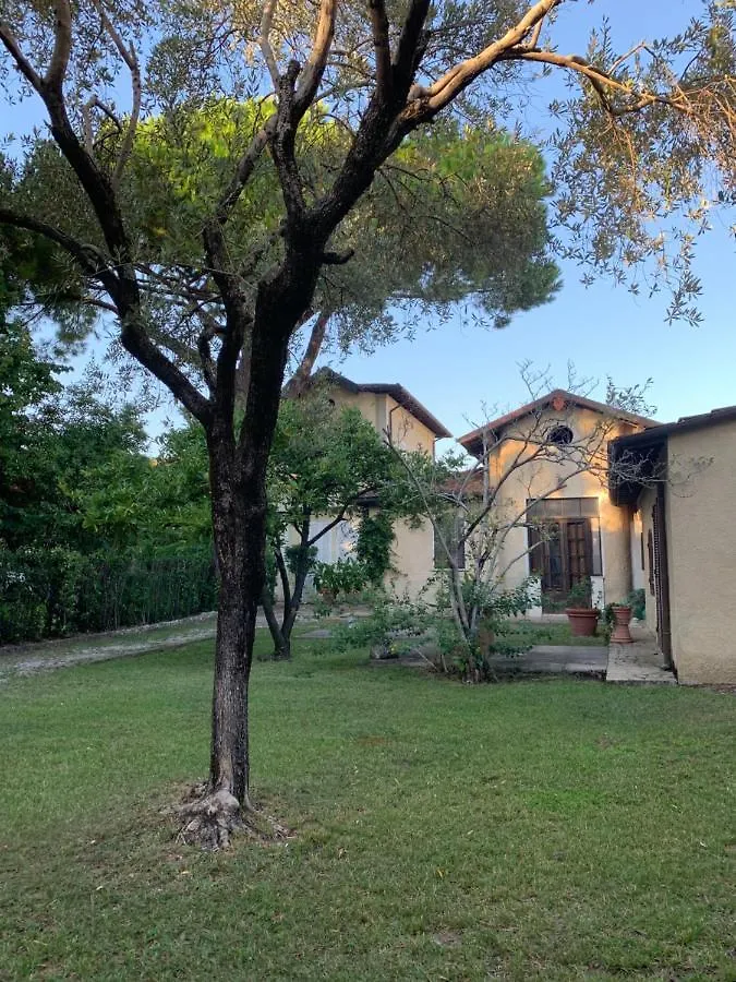 Il Pozzetto Home Resort Pietrasanta Appartamento
